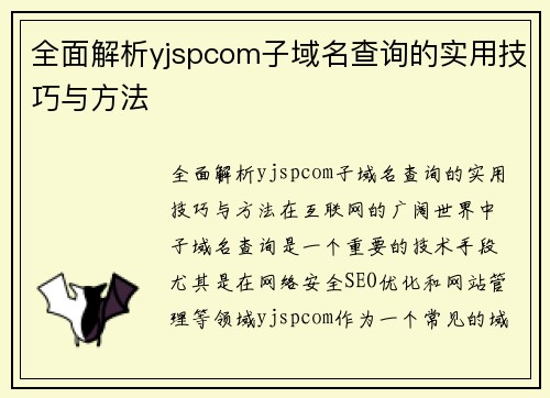 全面解析yjspcom子域名查询的实用技巧与方法